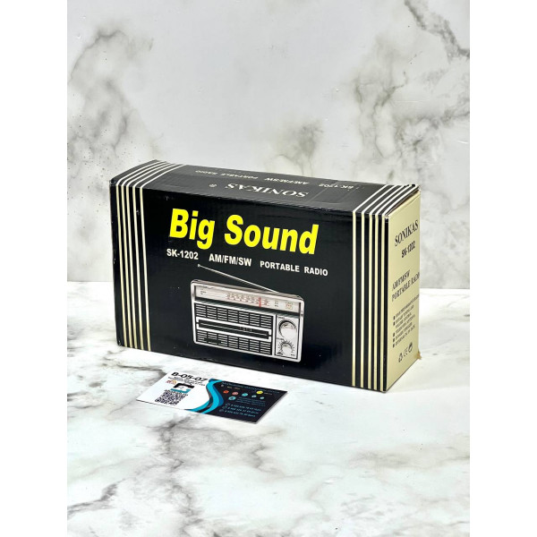 Радиоприемник BIG SOUND SK-1202 