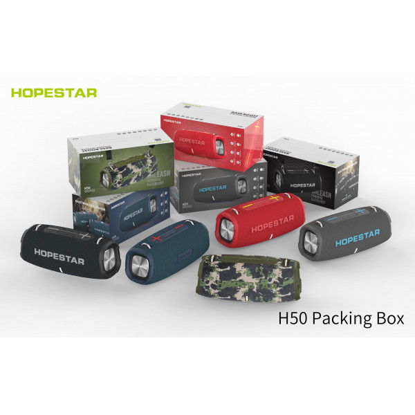 Колонка Hopestar H50