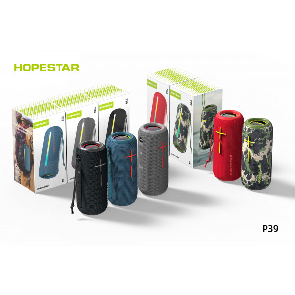 Колонка Hopestar P39