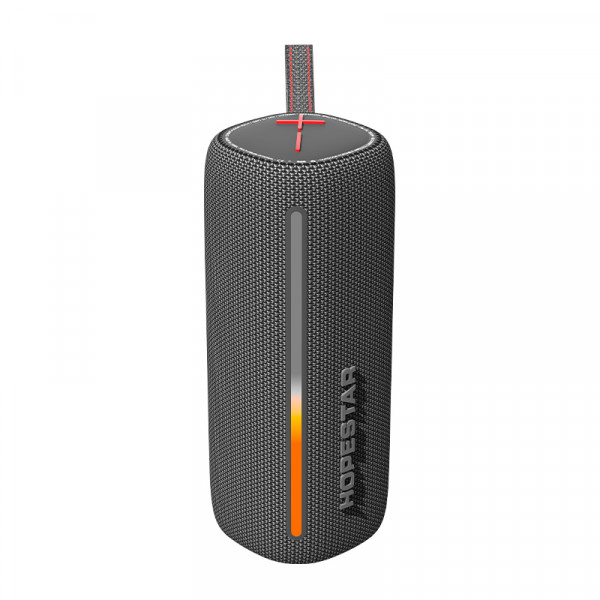 Колонка Hopestar P33 PRO