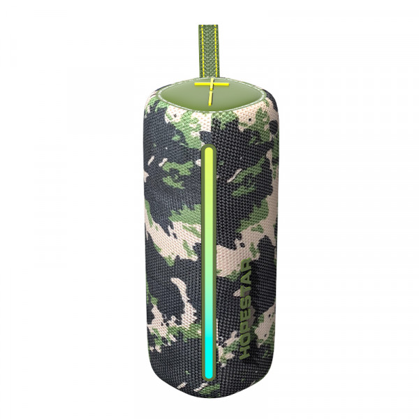 Колонка Hopestar P33 PRO