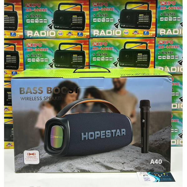 Колонка Hopestar A40